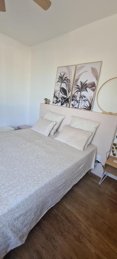 Bollène Maison De Ville Au Bord Du Lez, 170M2 Cosy. מראה חיצוני תמונה